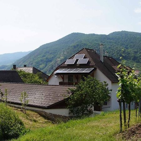 Weingut & Gaestezimmer Pammer Mitterarnsdorf Ngoại thất bức ảnh