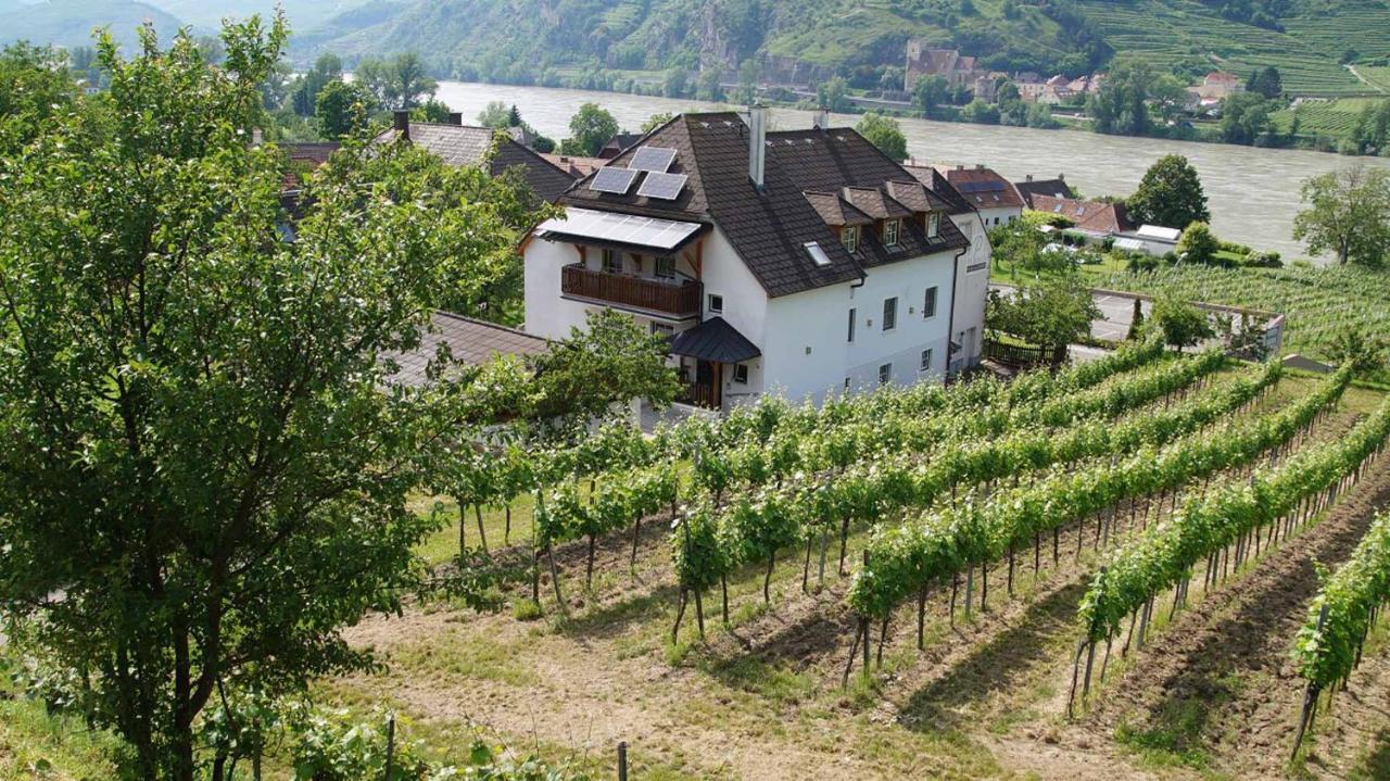 Weingut & Gaestezimmer Pammer Mitterarnsdorf Ngoại thất bức ảnh