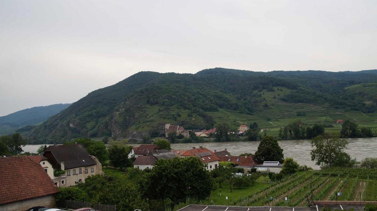 Weingut & Gaestezimmer Pammer Mitterarnsdorf Ngoại thất bức ảnh