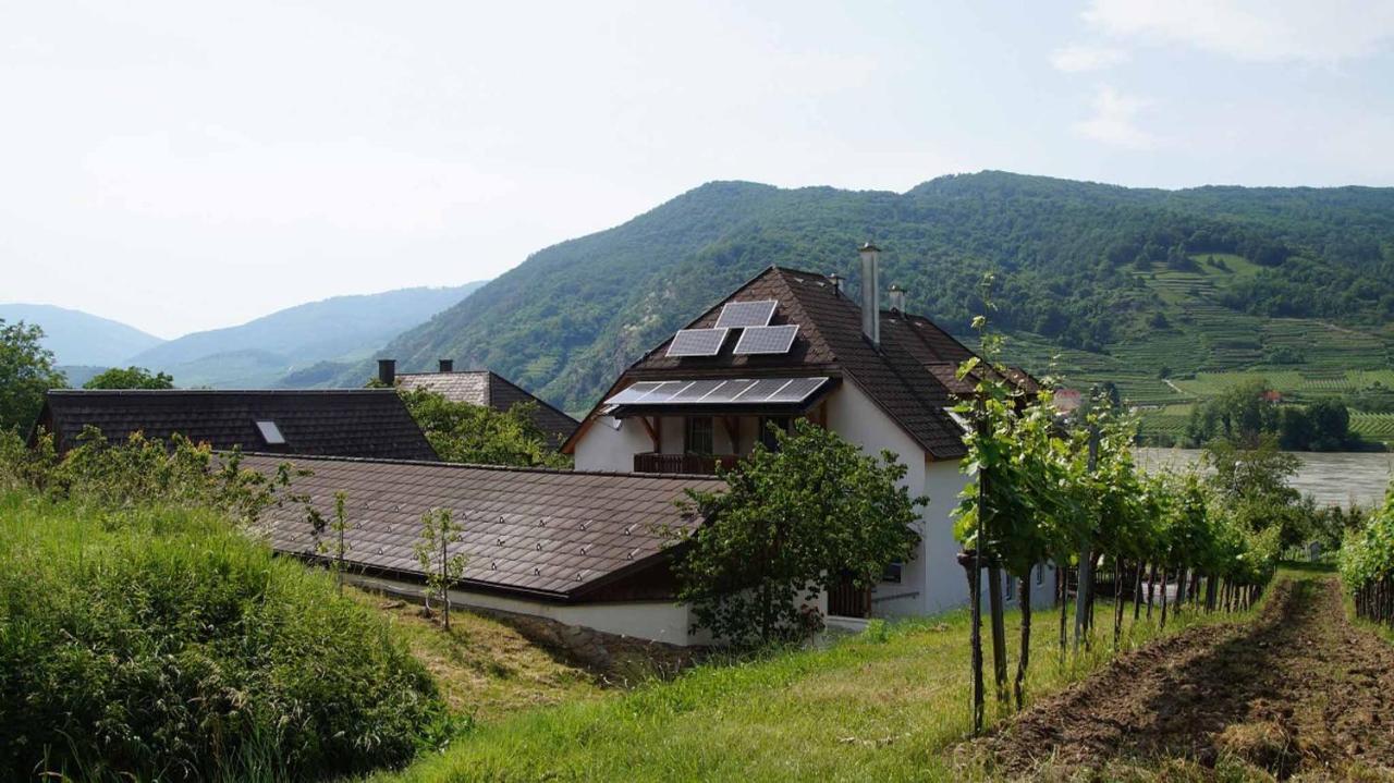 Weingut & Gaestezimmer Pammer Mitterarnsdorf Ngoại thất bức ảnh
