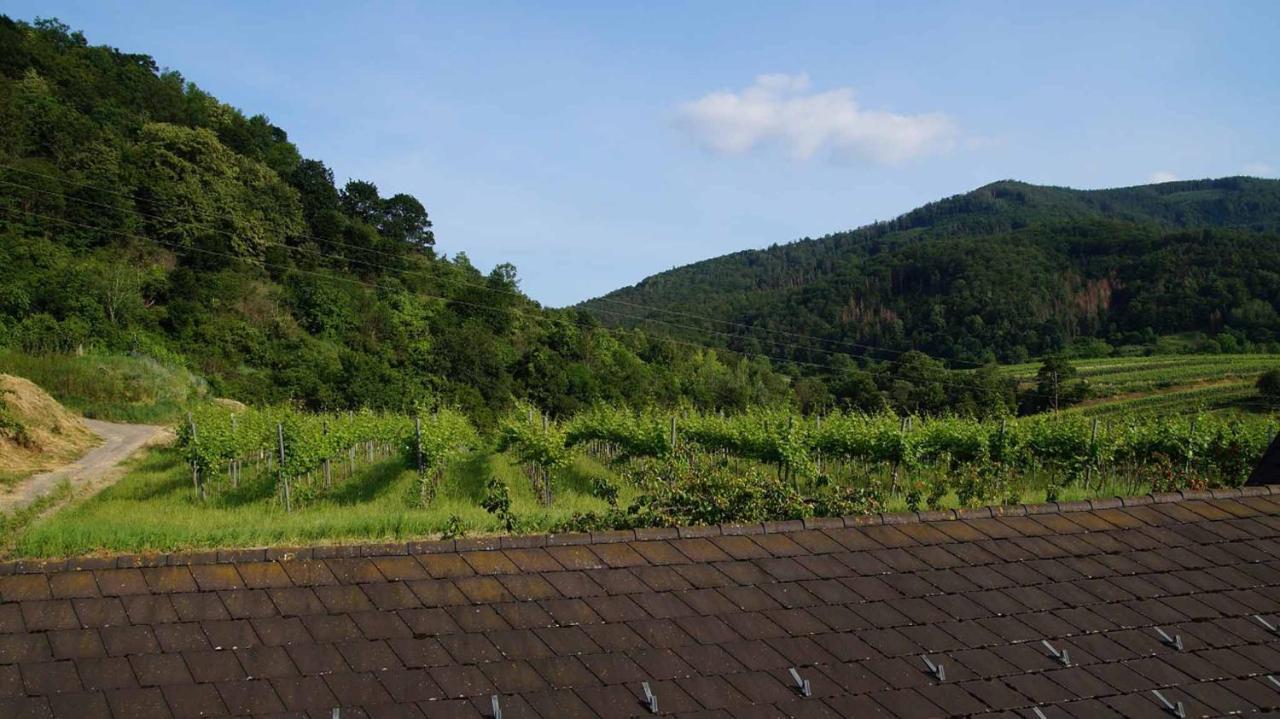 Weingut & Gaestezimmer Pammer Mitterarnsdorf Ngoại thất bức ảnh
