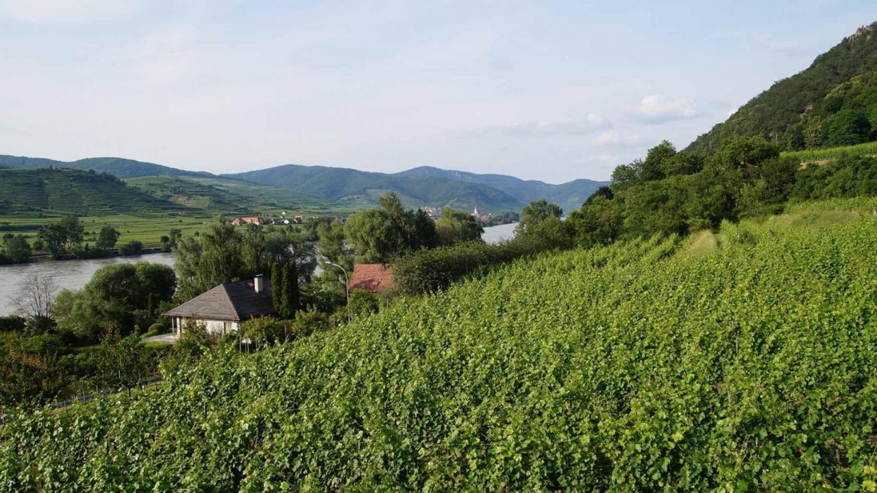 Weingut & Gaestezimmer Pammer Mitterarnsdorf Ngoại thất bức ảnh